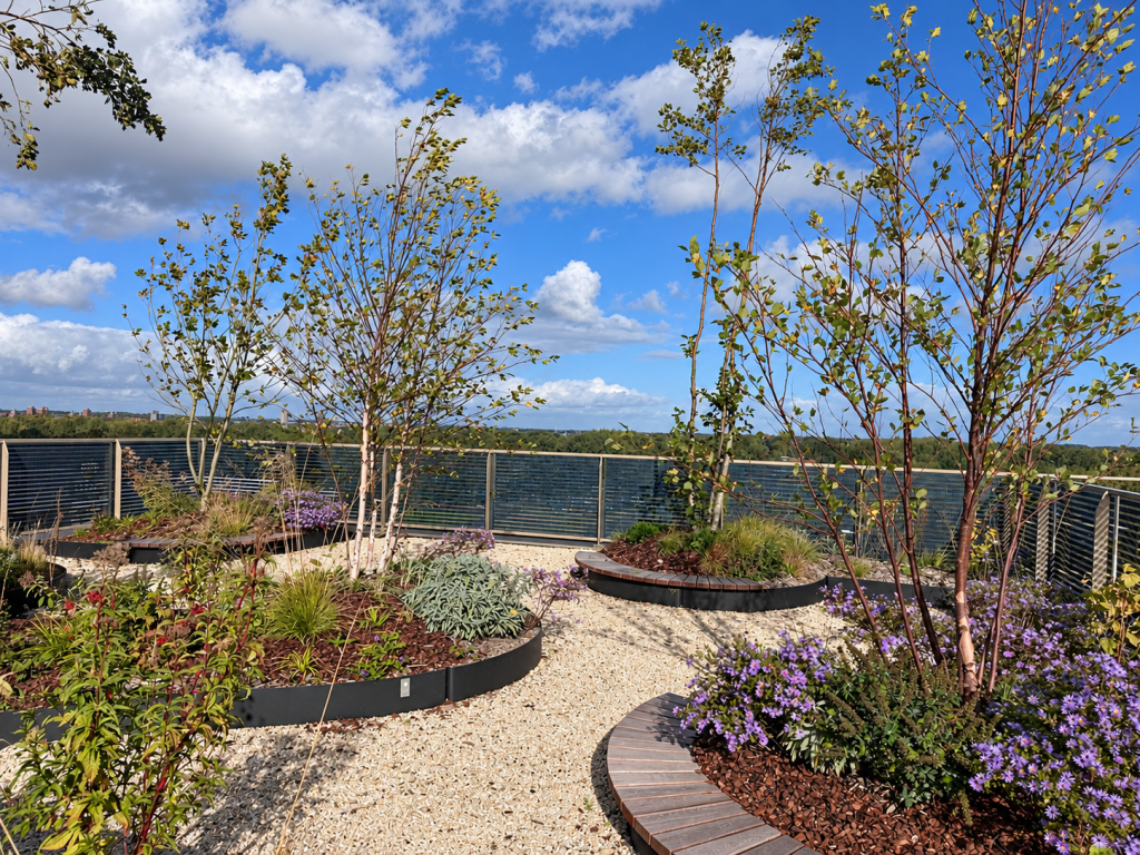 Roof terrace with trees – The Urban Woods Delft