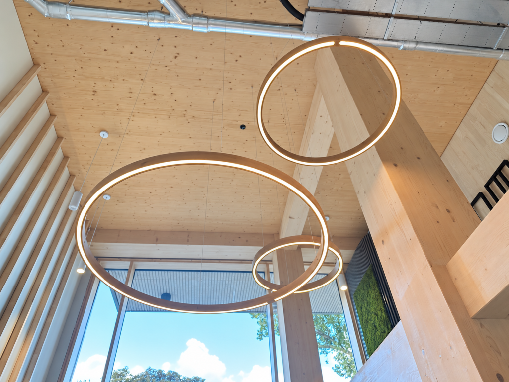 Timber structure and lighting – The Urban Woods Delft